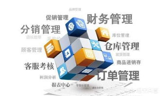 零編程經驗，也能打造企業級管理軟件？——新時代下的企業軟件開發新路徑