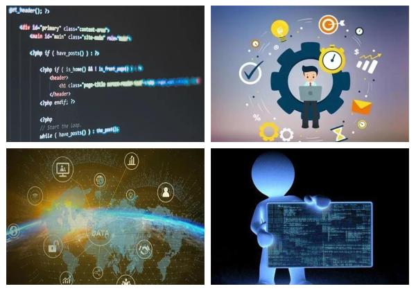 企業(yè)定制開發(fā)軟件 你真的需要嗎？