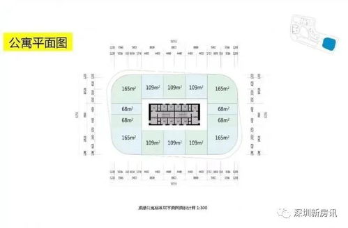 深圳樓盤信息查詢與專業(yè)化企業(yè)軟件開發(fā)服務(wù)